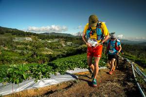 BIB: 581
                            <button type="button" onclick="openModal(19123310)" class="btn btn-primary btn-sm float-right btn-popup" data-toggle="modal" data-target=".modal-high-quality">
                        <i class="fas fa-shopping-cart"></i> Add to Cart
                    </button>
                                            <button type="button" onclick="isThisMe(19123310, true)" class="btn btn-success btn-sm float-right btn-popup btn-isme hidden" data-toggle="tooltip" data-placement="bottom" title="นี่คือรูปของคุณใช่ไหม คลิกที่นี่เพื่อเอาเข้าอัลบั้ม">
                        <i class="fas fa-plus"></i> Add to album
                    </button>
                    <button type="button" onclick="isThisMe(19123310, false)" class="btn btn-warning btn-sm float-right btn-popup btn-isnotme hidden">
                        <i class="fas fa-ban"></i> Remove from album
                    </button>